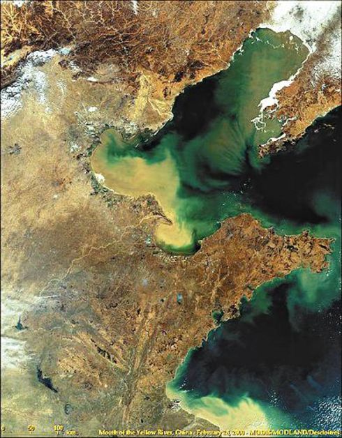 e0006194_8585371.jpg