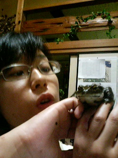 鰯の梅シソ焼き＆ブリ大根_a0080406_2320472.jpg