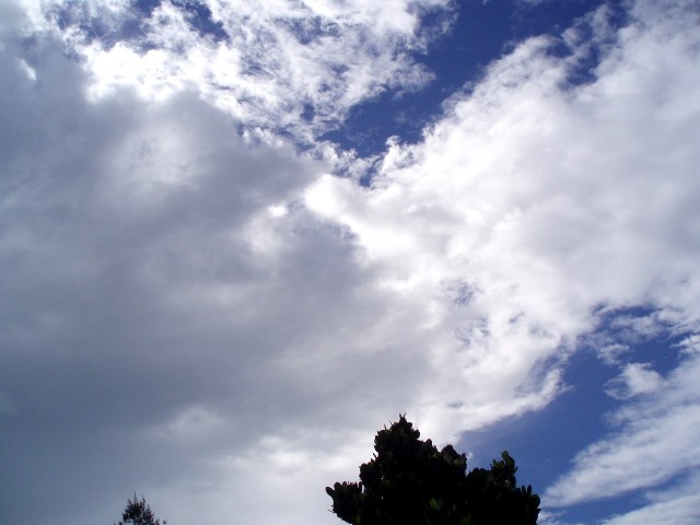 f0023210_1711330.jpg