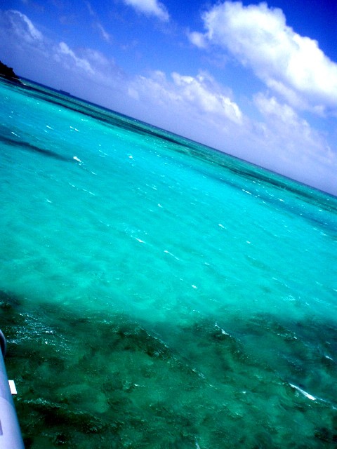 f0023210_2074991.jpg