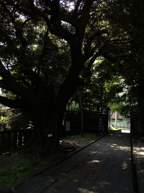 c0071611_1862689.jpg