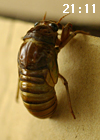 f0108133_713643.jpg