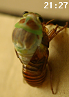 f0108133_739087.jpg