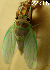 f0108133_814037.jpg