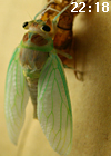 f0108133_815617.jpg