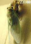 f0108133_8459100.jpg