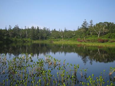 北海道旅行のまとめ_f0005043_11492558.jpg