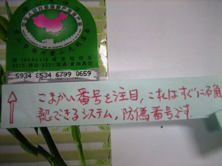 f0070743_1216408.jpg