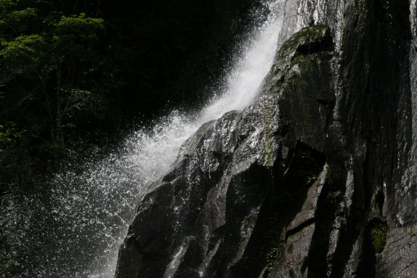 b0092958_2172830.jpg