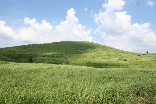e0077359_2283750.jpg