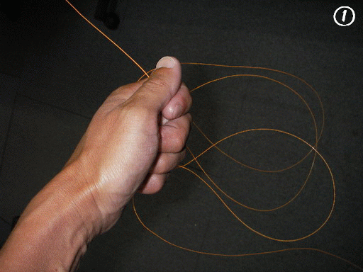 f0084561_13435344.gif