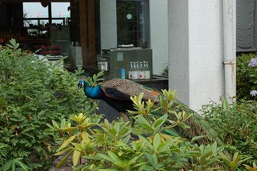 c0046587_228721.jpg