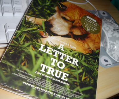 A LETTER TO TRUE : DVD_b0004198_68893.jpg