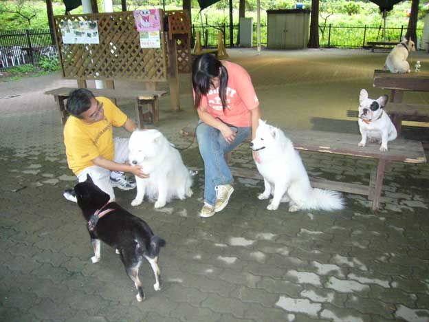 ノンノ出産の日ドキュメント　　8月12日　　土_e0018604_7173136.jpg