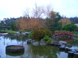 b0040606_17532056.jpg