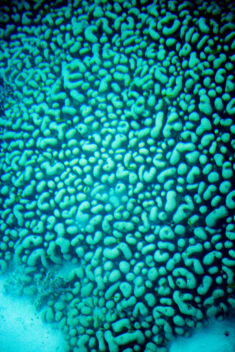 d0073620_21562118.jpg