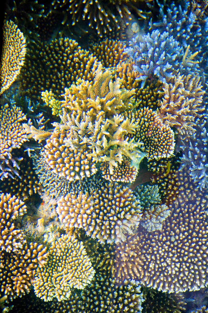 d0073620_2156329.jpg