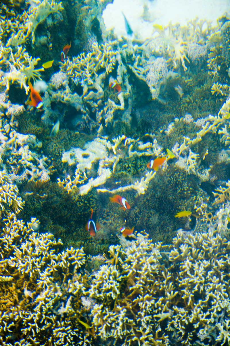 d0073620_21563477.jpg