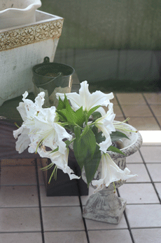 d0033230_9154981.gif
