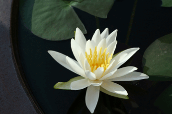 d0033230_9232051.gif