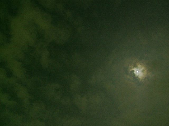e0089232_3325754.jpg