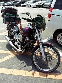 f0012637_1246234.jpg
