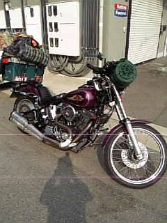 f0012637_8262389.jpg