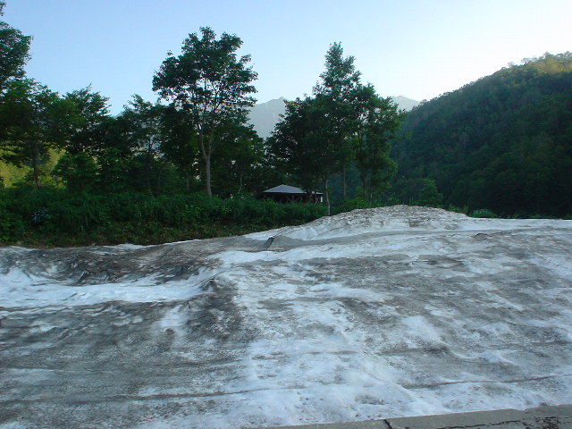 今日は休みでした・・・よん_f0077139_11462395.jpg