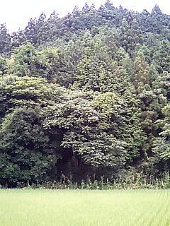 e0000847_20192572.jpg