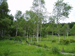 d0048350_20103229.jpg
