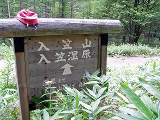 d0048350_20153394.jpg
