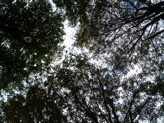 d0059556_8134367.jpg