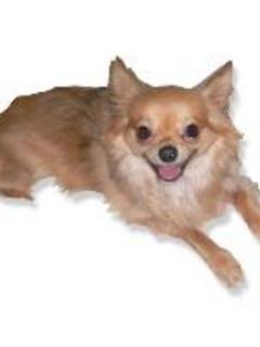 遊佐浩二さん Unknown