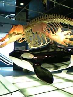 a0080172_1655996.jpg