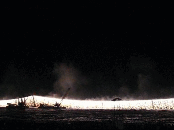 d0051087_19573912.gif