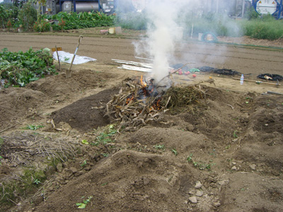 部活並みの肉体労働。夏野菜の撤収作業完了！_f0070493_1724274.jpg