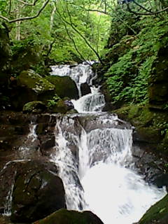 f0070004_19352043.jpg