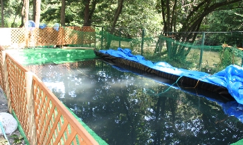 e0071225_1038817.jpg