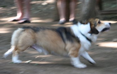 e0071225_1091624.jpg