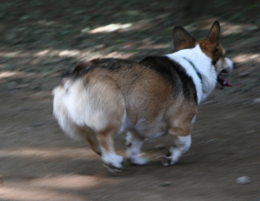 e0071225_1095128.jpg