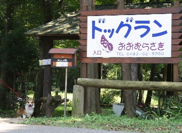 e0071225_9415777.jpg