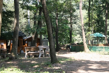 e0071225_9451535.jpg