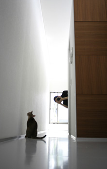 「ヒトは猫のペットである」のy_and_r_dさん登場!_c0039735_2023249.jpg