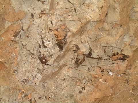 f0090444_221985.jpg