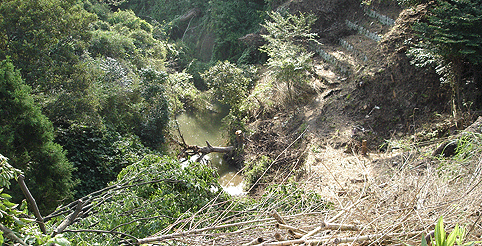 c0042548_13511719.gif
