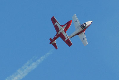 The Snowbirds_d0069550_16105371.jpg