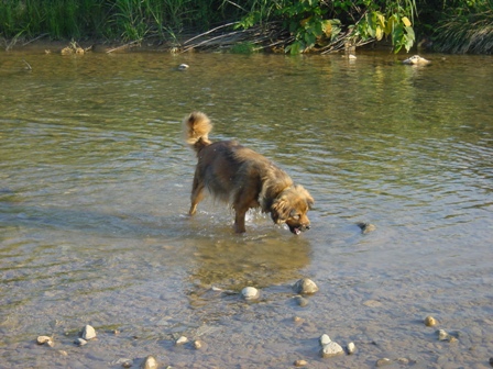 e0015964_22235280.jpg