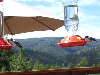 b0034565_21245698.jpg