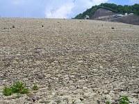 b0004675_2212977.jpg