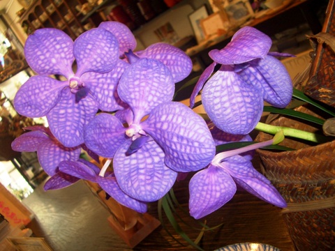 b0090081_141859.jpg